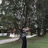 priscillaly13