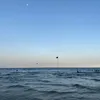 nauq_05