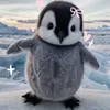 rod_maia1