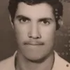 arabfalcon64