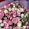 aiymm774