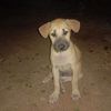 zinmyatthu19