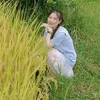 kieu347115