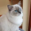 gipszkarton_emil05