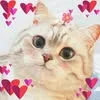 user920053330