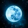 shahshb10