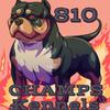 camps_kennels