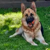 sonja5544fietesfrauchen
