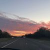 txhomemom