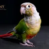 arialouna