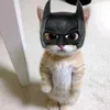 little_guizera