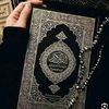 shroukashrf5