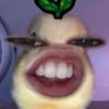 frnsiskaaatr