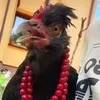 krzychukadetemterazzzz