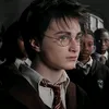 potterfenx