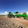 fernandooficial219