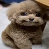 g...ie
