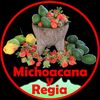 Michoacana y Regia