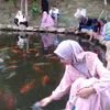 iniakunsekedarakun