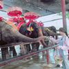 thangnin18
