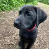 mrsmions