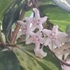 martusia6791