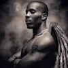 dmx_black