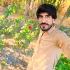 wajid