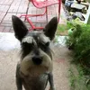 minzu_mix
