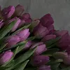 fatosh_a26