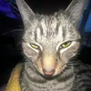 callum042000