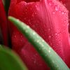 ahlamlbay5
