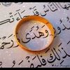 user8292552124541