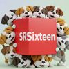 srsix16teen