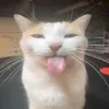 lucizeyzey_4