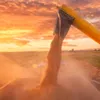 Agro Forte