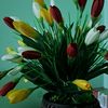 xursh1d_202