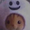 ninfaz_st
