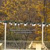 kamran_salyan_052