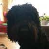thelornemower