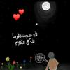 nouramohamed264