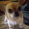soloparatiamig