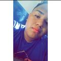 alipena_26