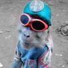 utilisateur_inconnus1