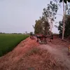 hoangduyq