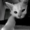 lilia15.03.2012