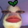 whywouldamandabethere_