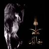 kh24aled1