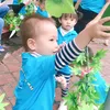 ngoc.anh.ta
