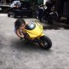 jessie.636